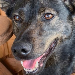 Meet your Posher, Whitney